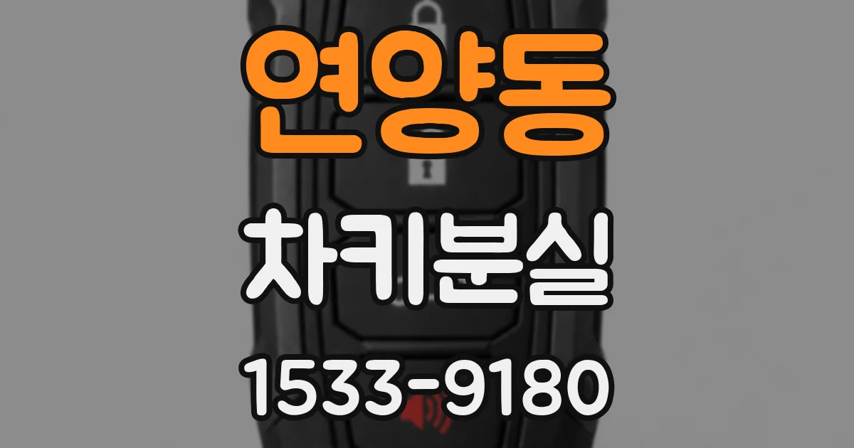 연양동 차키분실