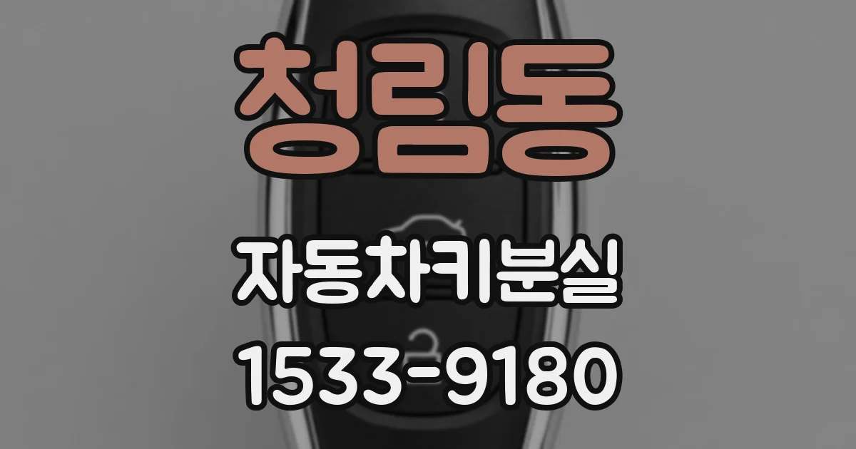 청림동 자동차키분실