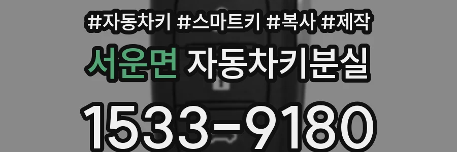 서운면 자동차키분실