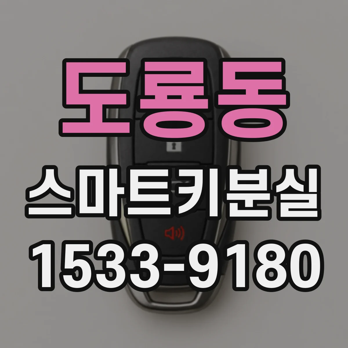 도룡동 스마트키분실