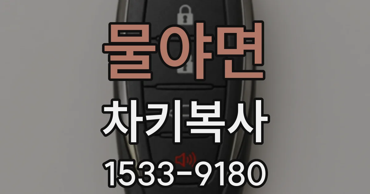 물야면 차키복사