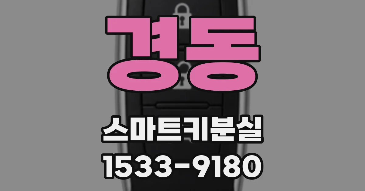 경동 스마트키분실