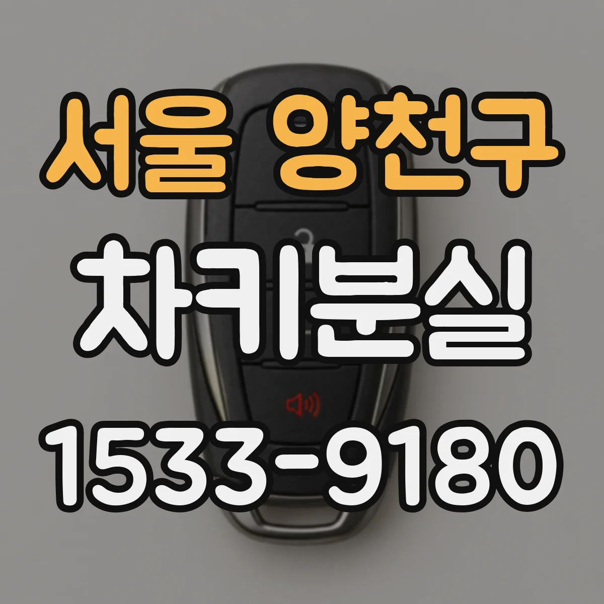 서울 양천구 차키분실