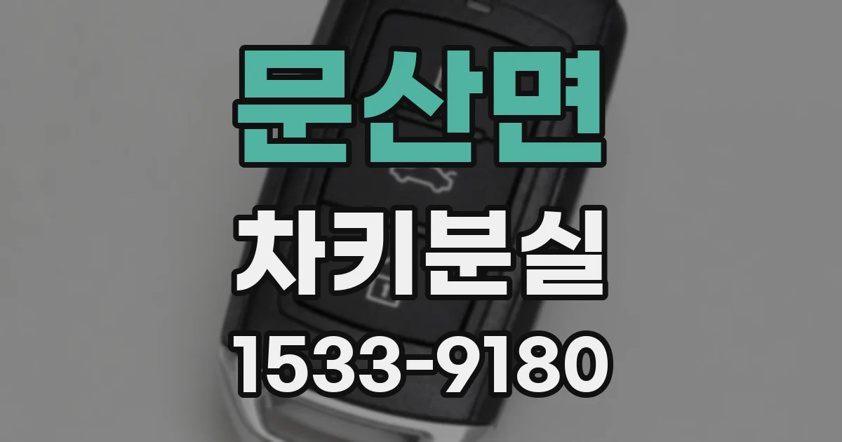 문산면 차키분실