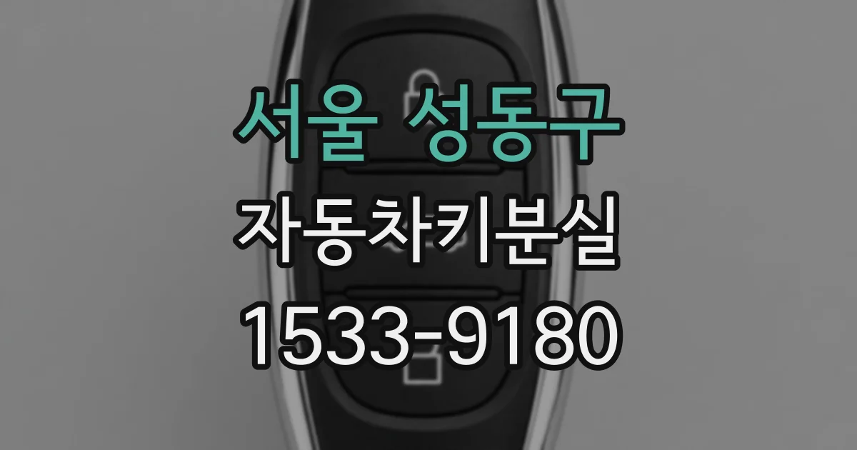 서울 성동구 자동차키분실