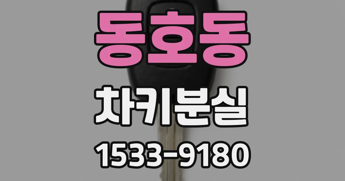 동호동 차키분실