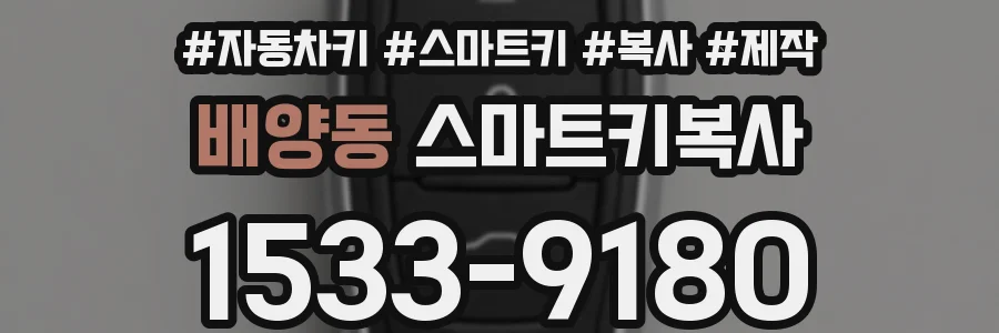 배양동 스마트키복사