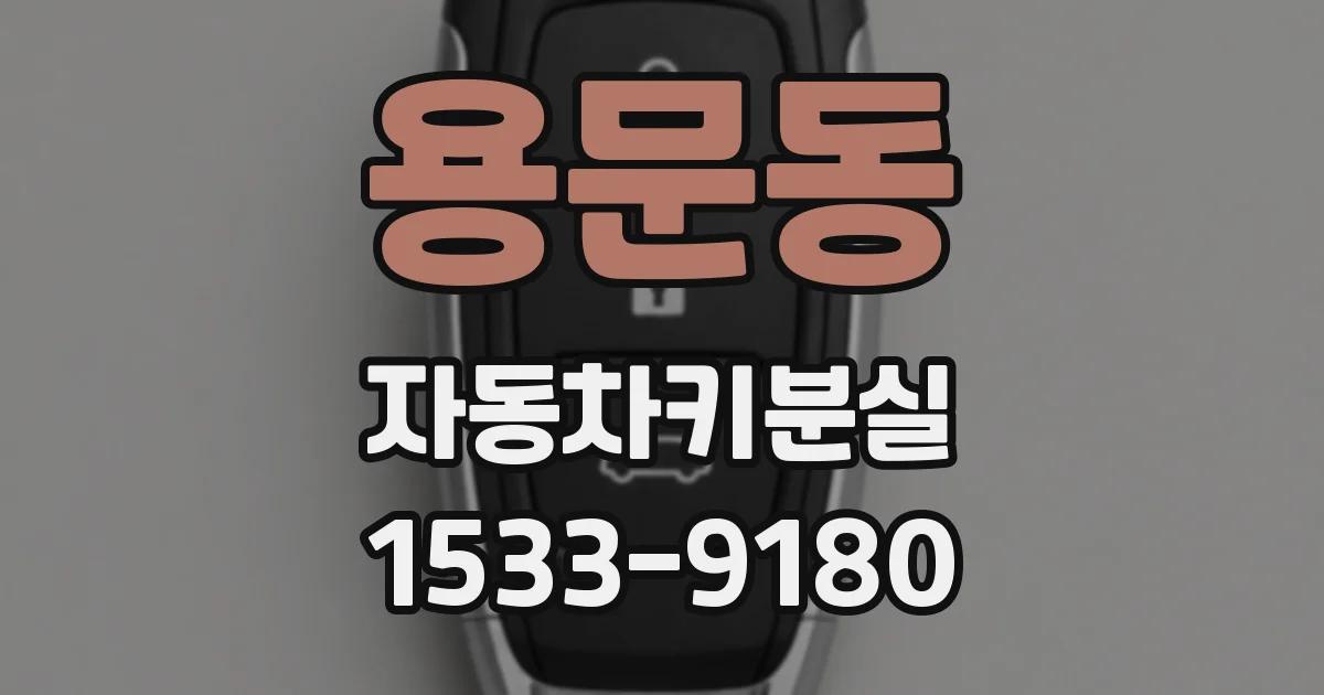 용문동 자동차키분실