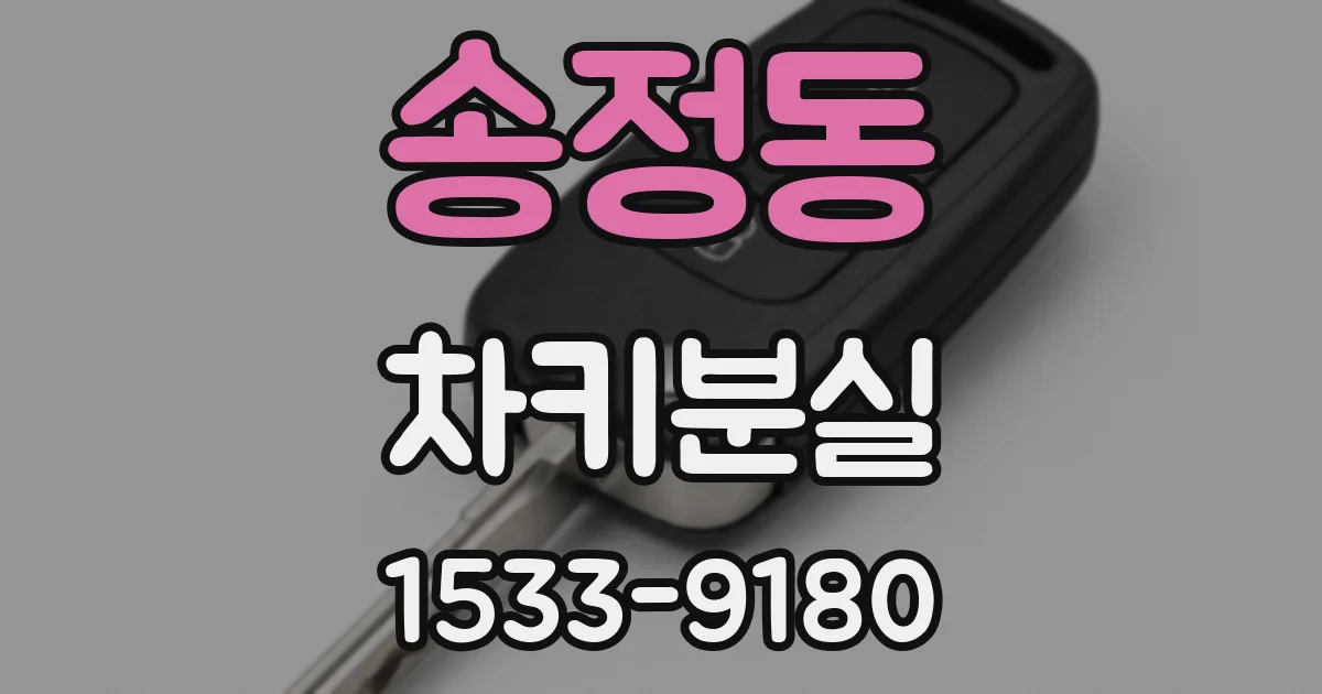 송정동 차키분실