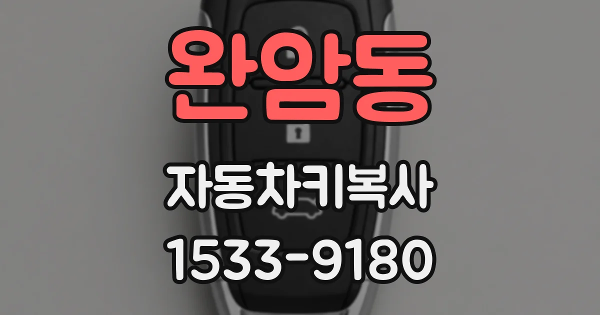 완암동 자동차키복사