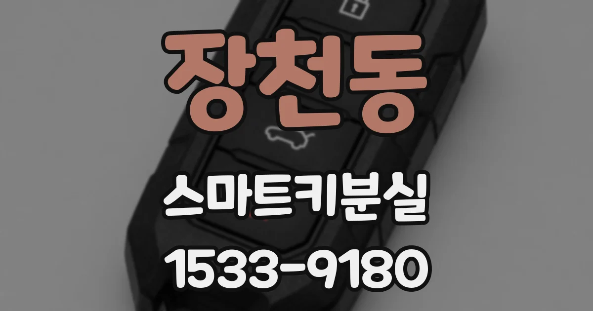 장천동 스마트키분실