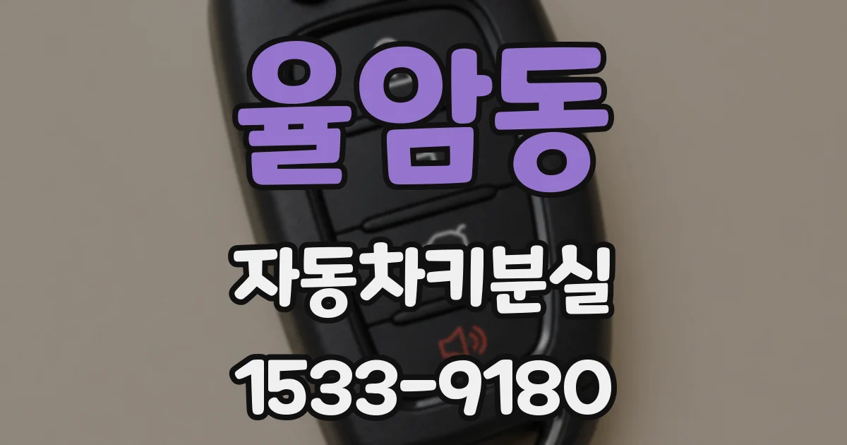 율암동 자동차키분실