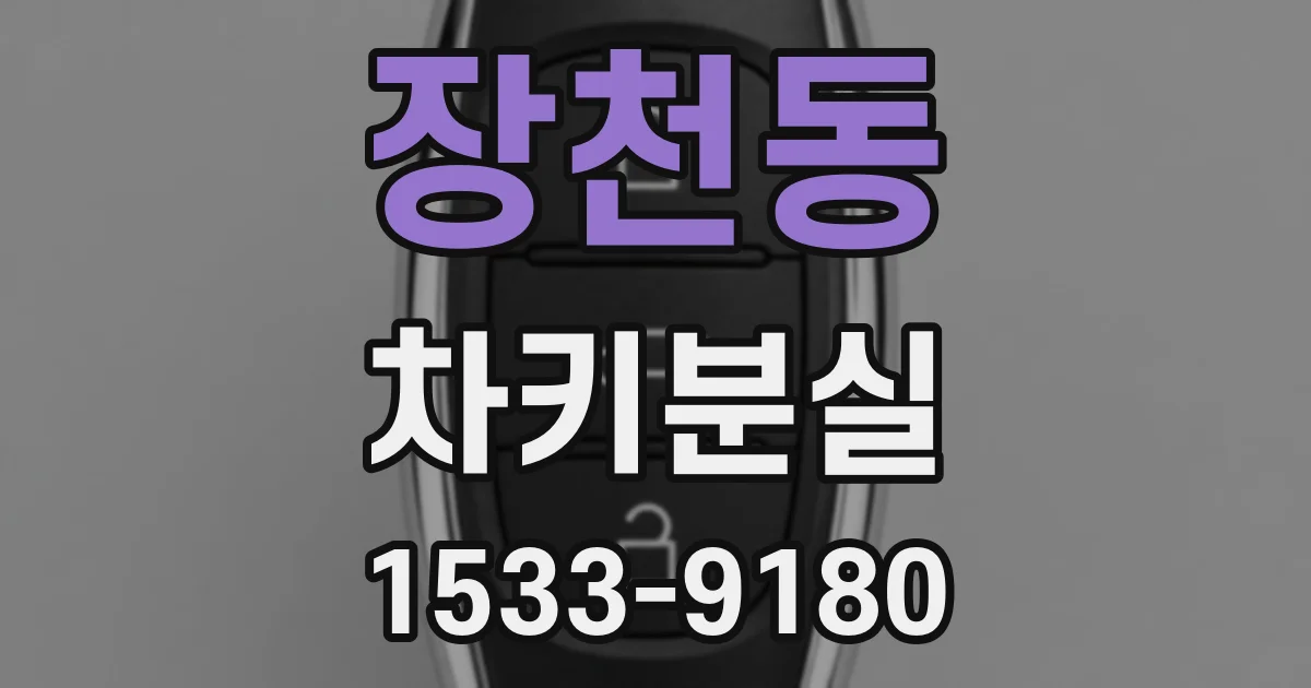 장천동 차키분실