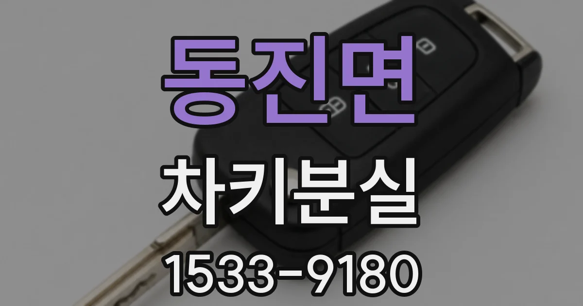 동진면 차키분실