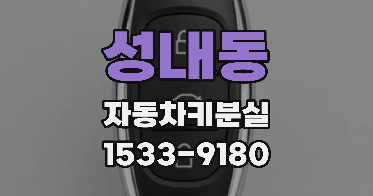 성내동 자동차키분실