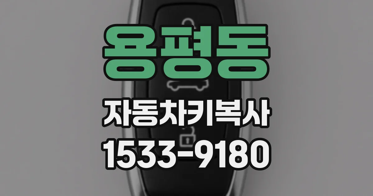 용평동 자동차키복사