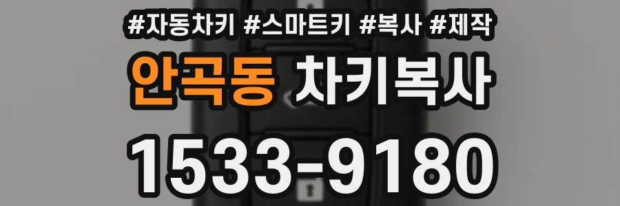 안곡동 차키복사