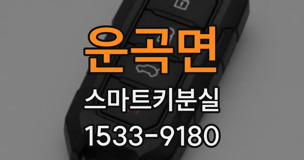 운곡면 스마트키분실