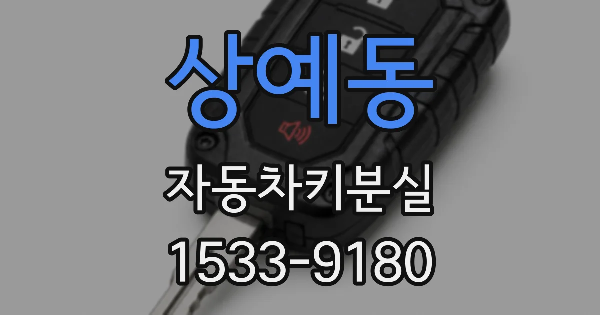 상예동 자동차키분실