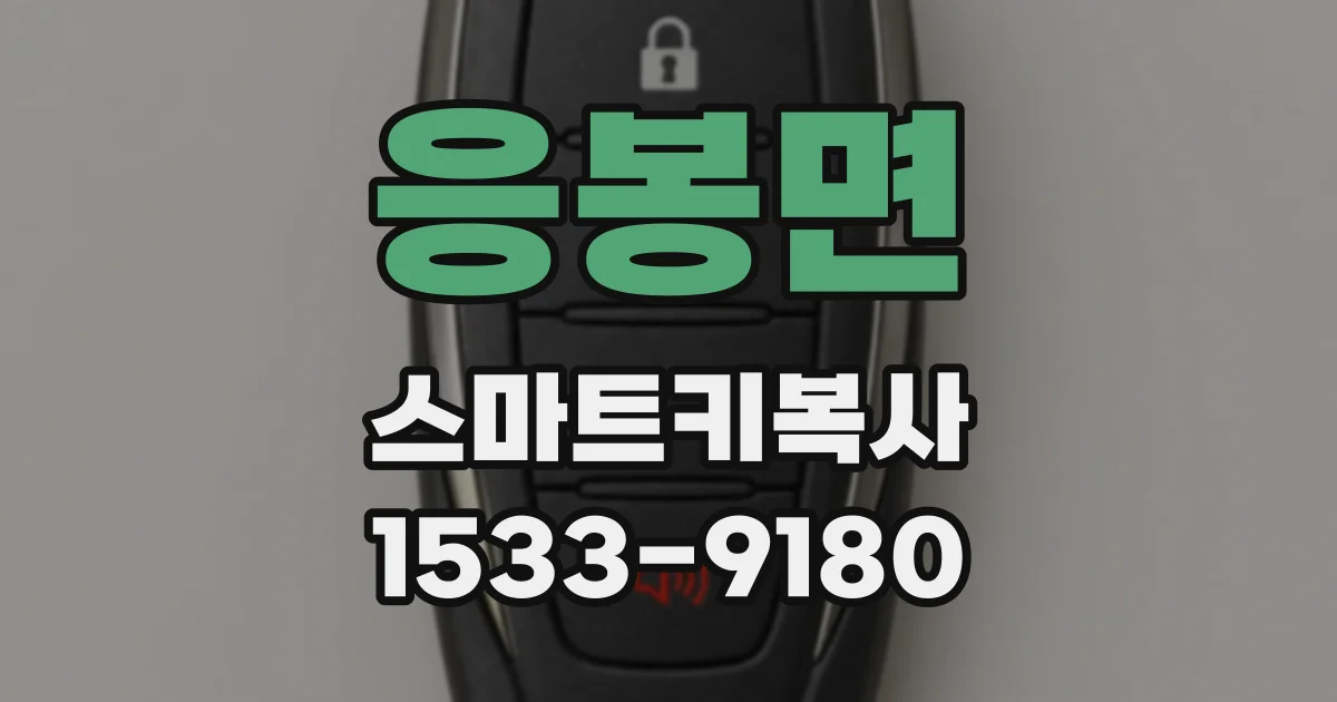 응봉면 스마트키복사