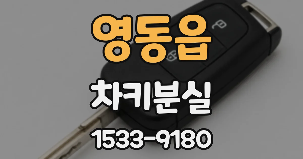 영동읍 차키분실