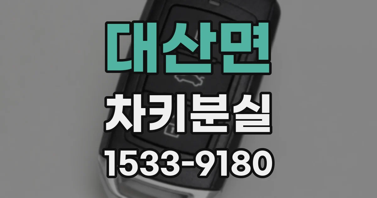 대산면 차키분실