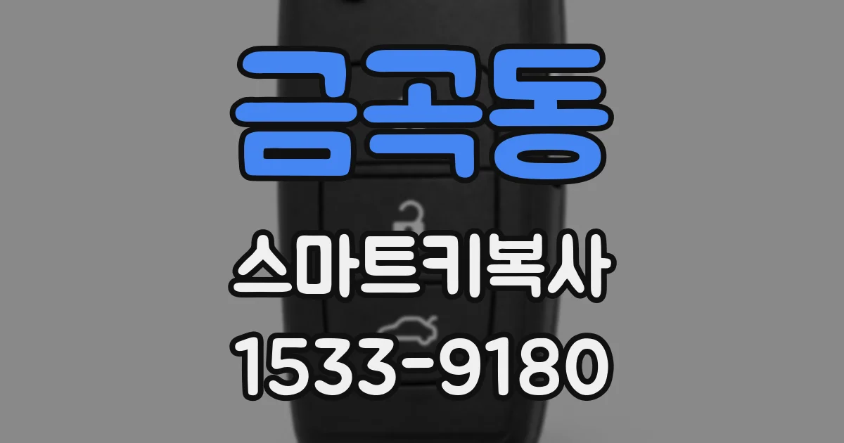 금곡동 스마트키복사