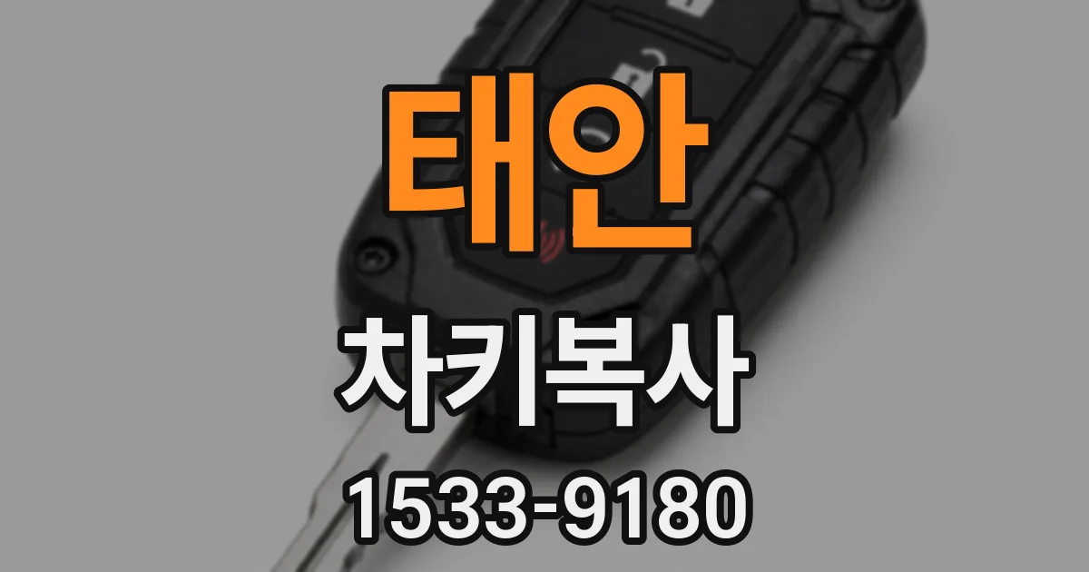 태안 차키복사