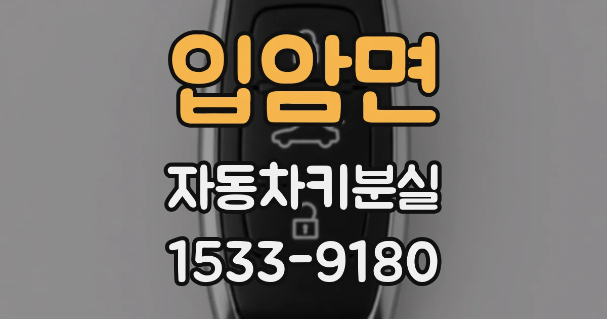 입암면 자동차키분실