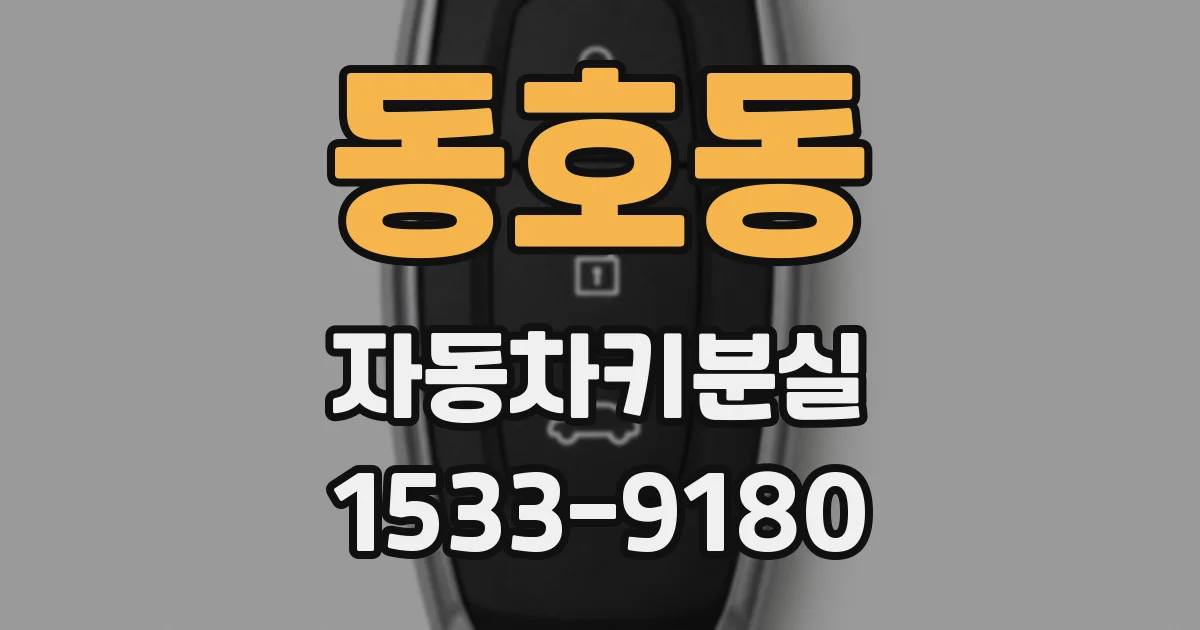 동호동 자동차키분실