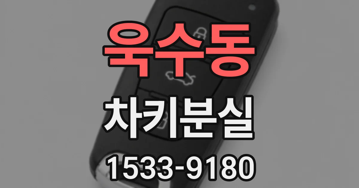 욱수동 차키분실