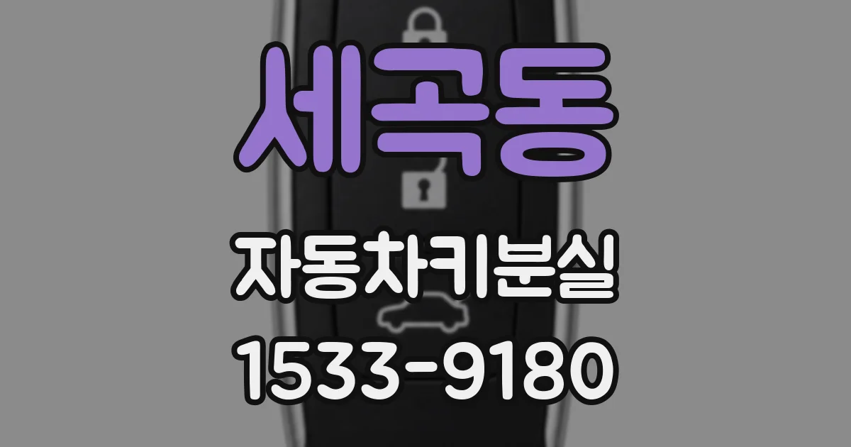 세곡동 자동차키분실