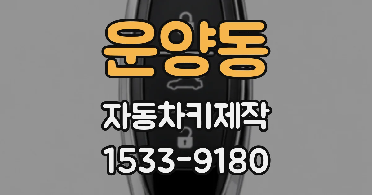 운양동 자동차키제작