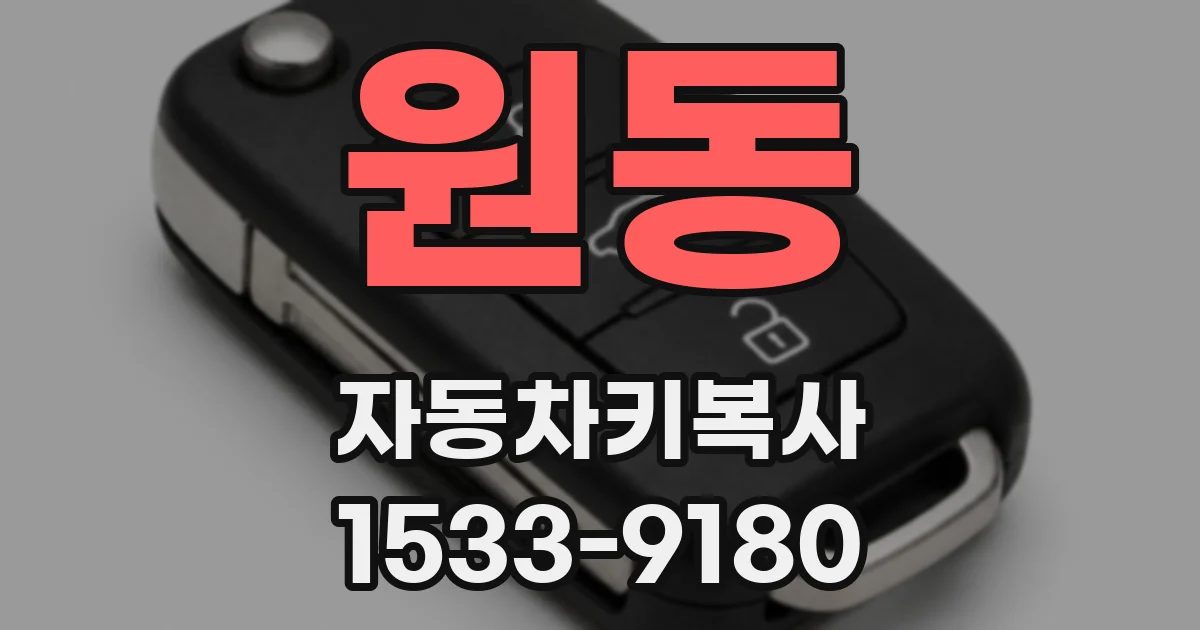 원동 자동차키복사