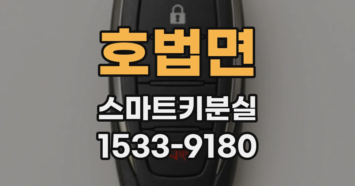 호법면 스마트키분실