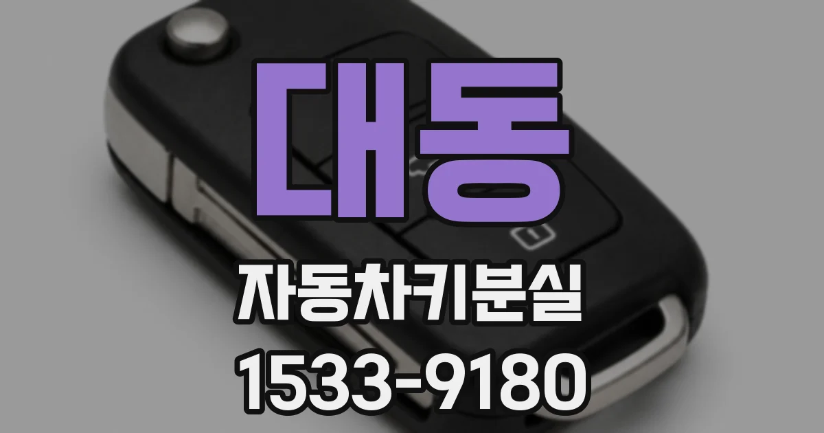 대동 자동차키분실