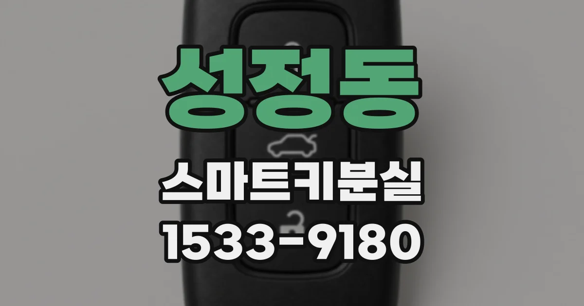 성정동 스마트키분실