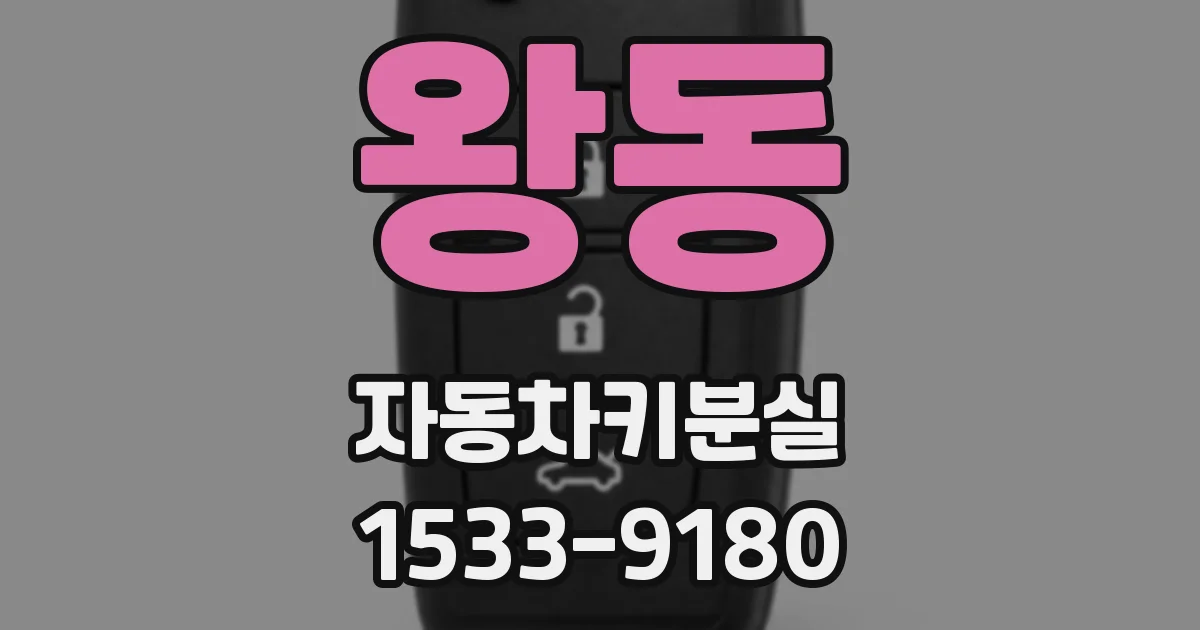 왕동 자동차키분실