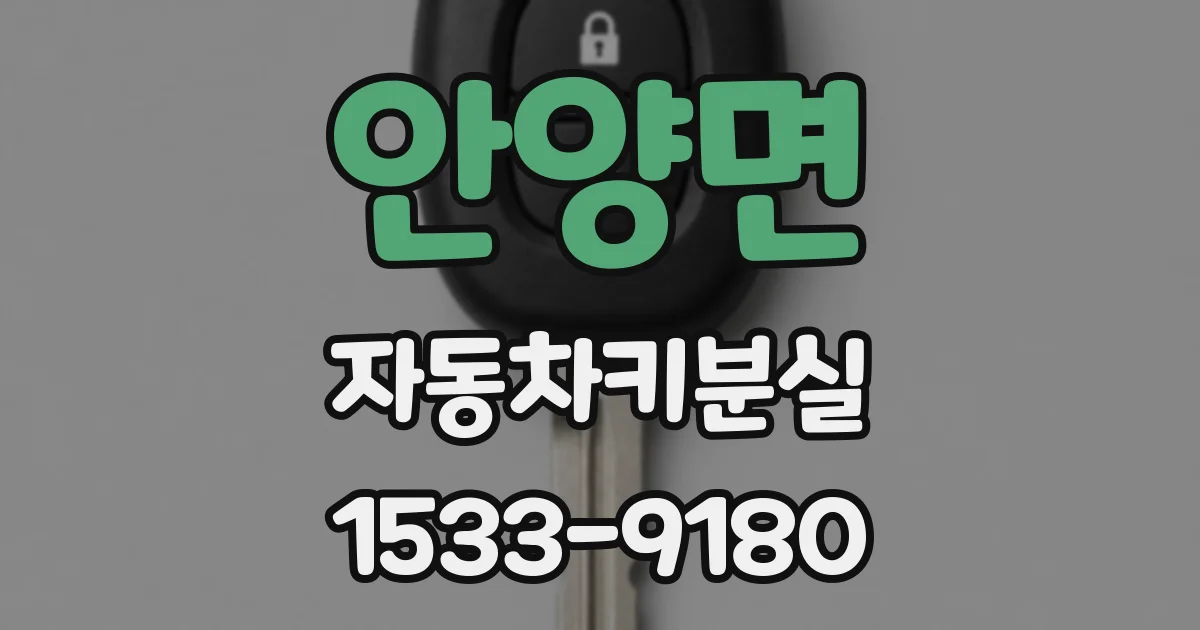 안양면 자동차키분실