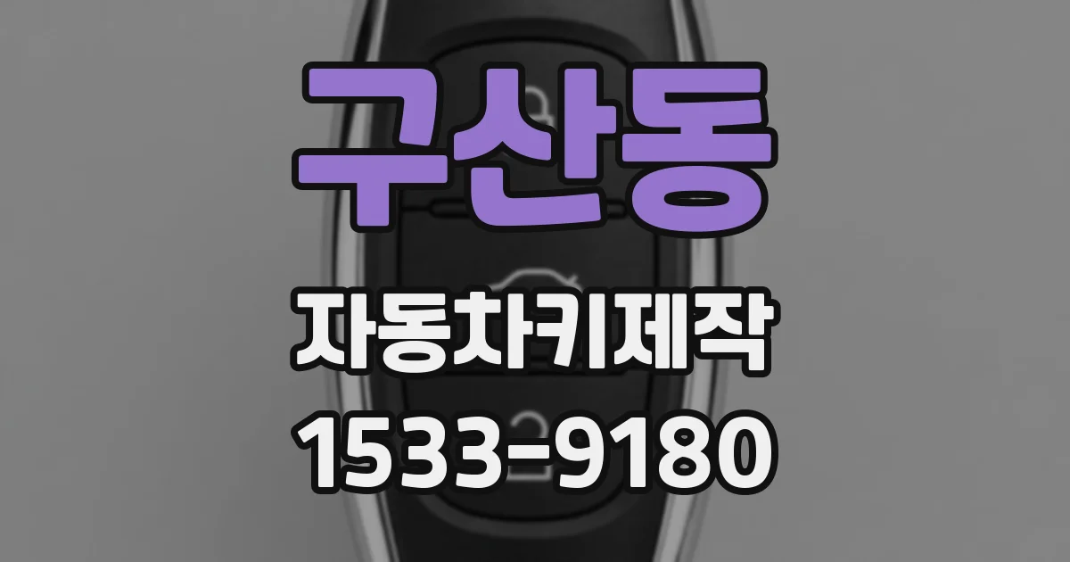 구산동 자동차키제작