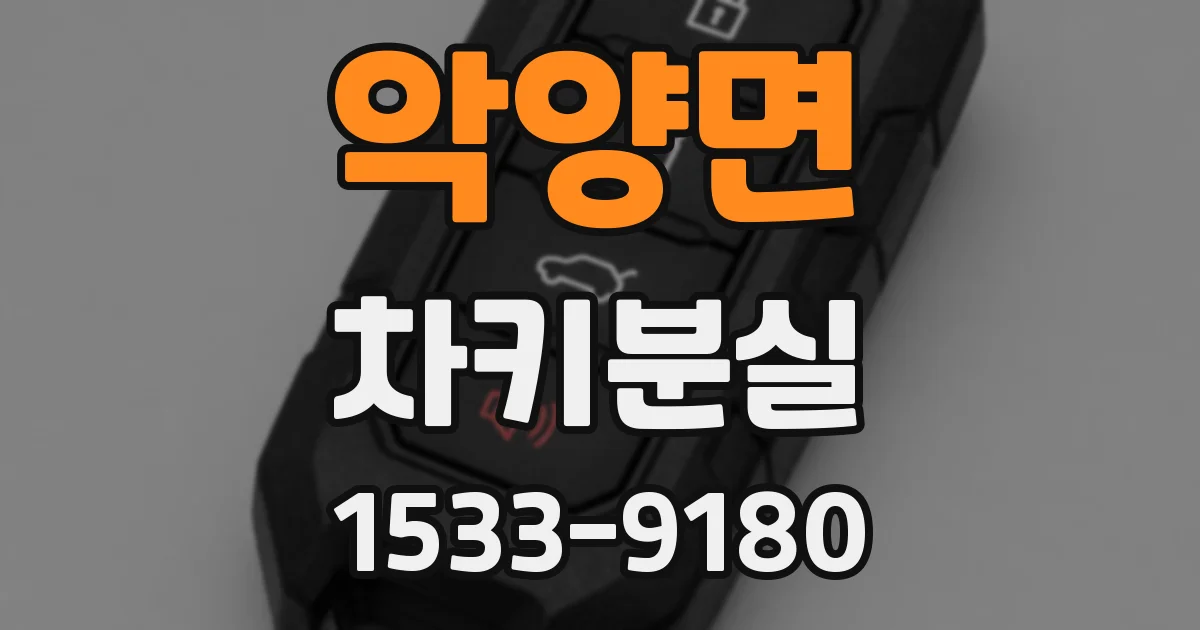 악양면 차키분실