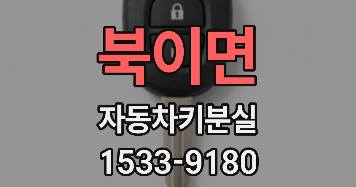 북이면 자동차키분실