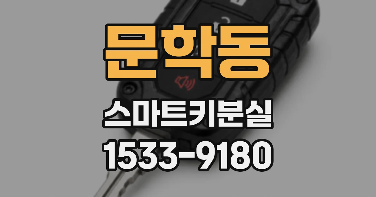 문학동 스마트키분실