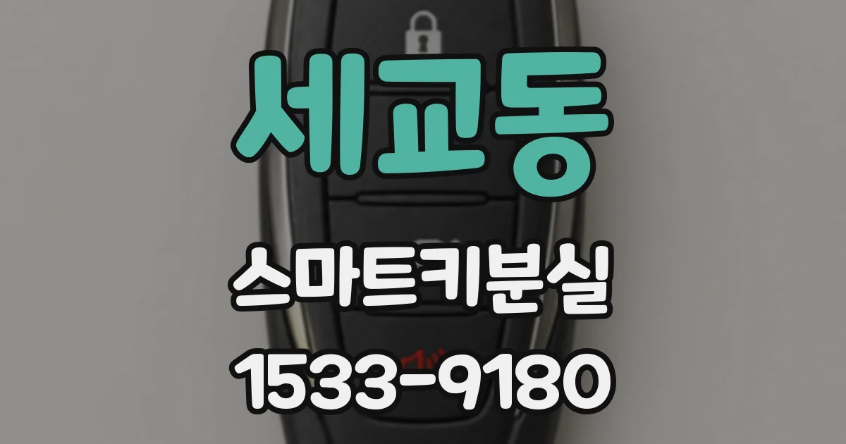 세교동 스마트키분실