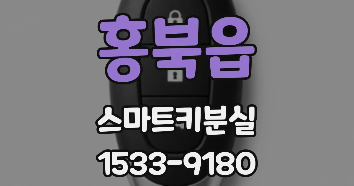 홍북읍 스마트키분실