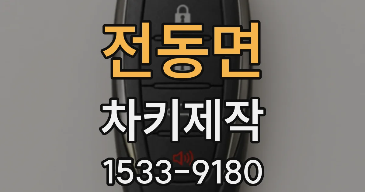 전동면 차키제작