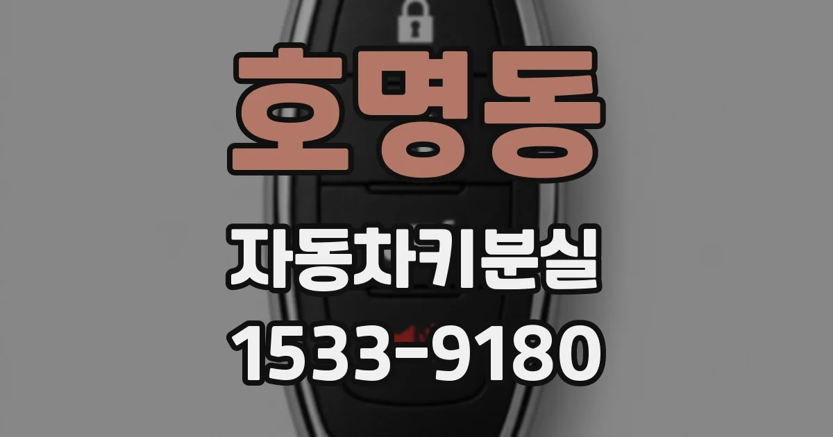호명동 자동차키분실