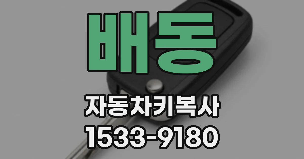 배동 자동차키복사