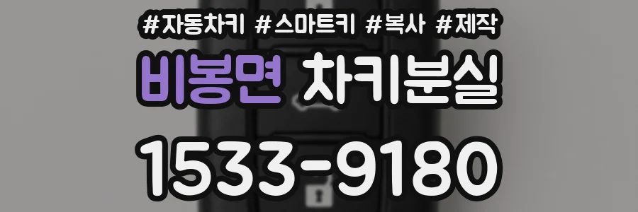비봉면 차키분실