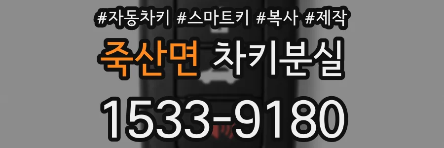 죽산면 차키분실